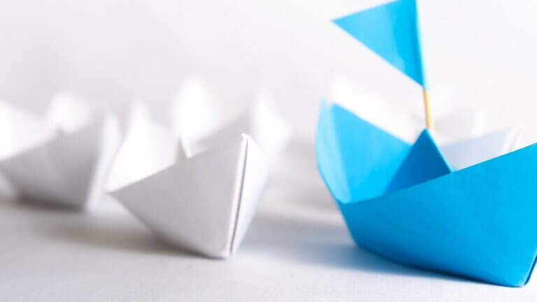 Özel Entegratör Nedir?