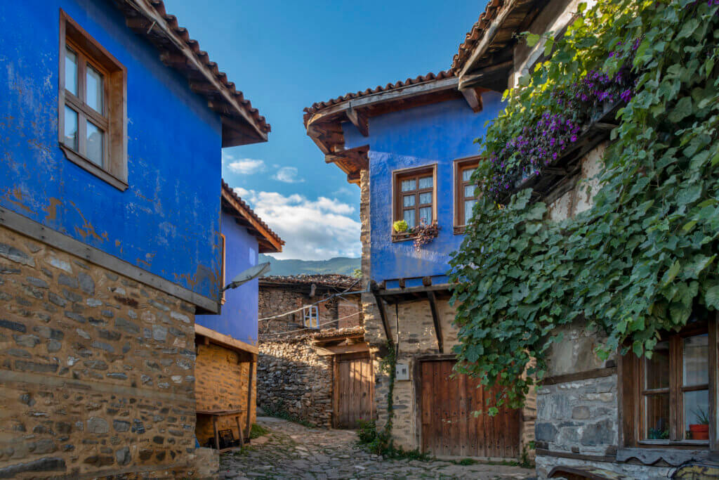 e-Serbest Meslek Makbuzu