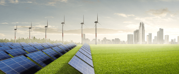 Başarı Hikayesi: CK Enerji e-Dönüşüm Yolculuğu