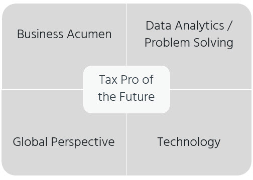Tax professional skills