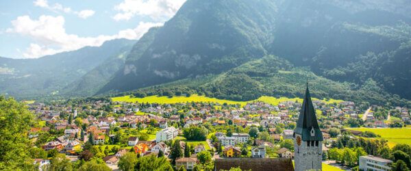 Mandate - Liechtenstein E-invoicing