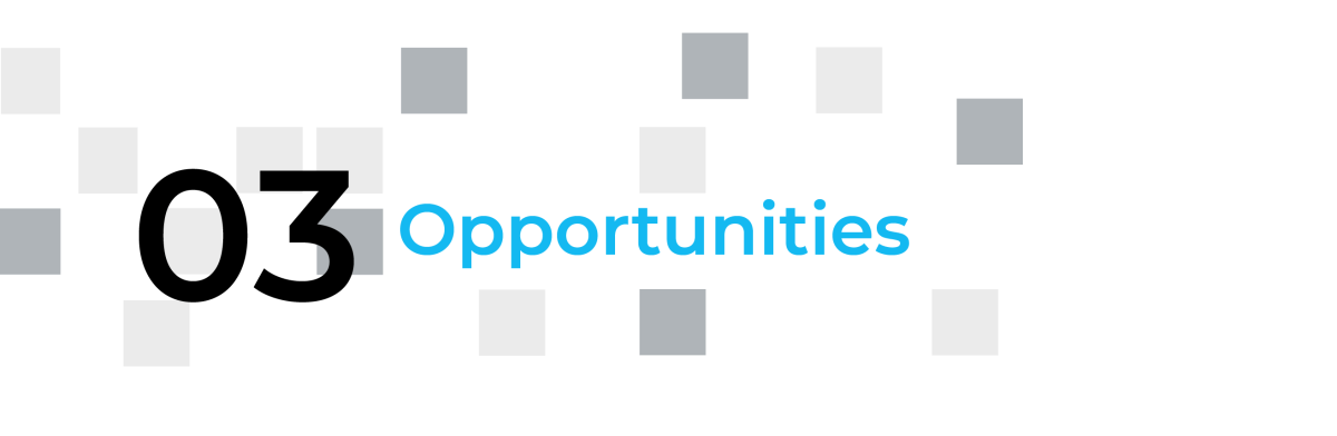 Section-Dividers-FI-03